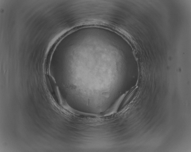 X0000073861120200608170935