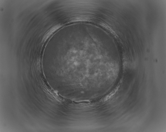 X0000073861121200608170935