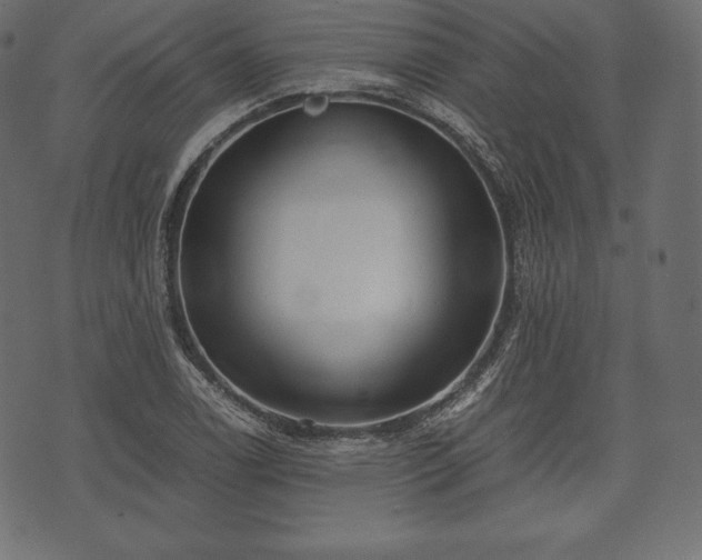 X0000073861122200608170935