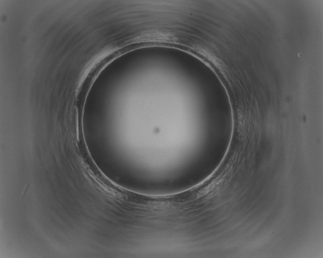 X0000073861123200608170935