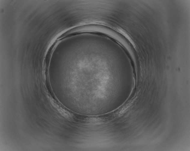 X0000073861124200608170935