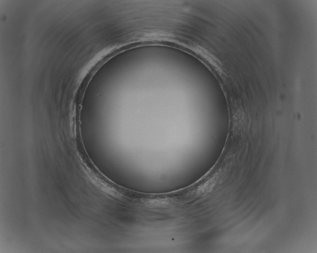 X0000073861126200608170935