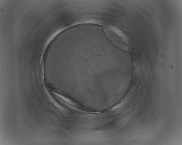 X0000073861127200608170936