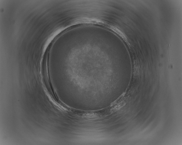 X0000073861128200608170936