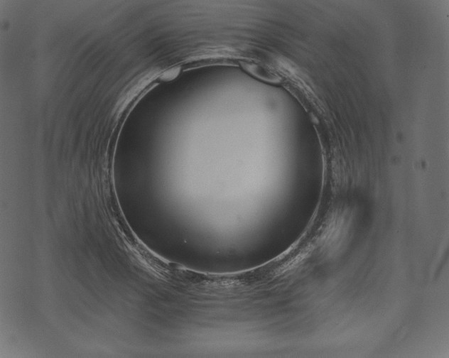 X0000073861129200608170936