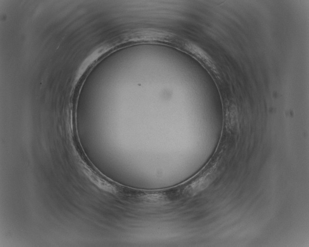 X0000073861130200608170936