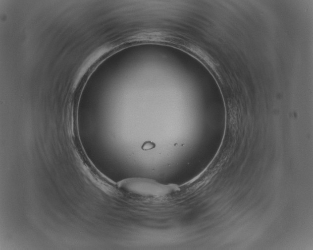 X0000073861131200608170936