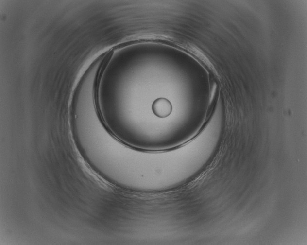 X0000073861132200608170936