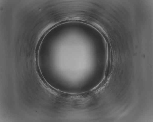 X0000073861133200608170936