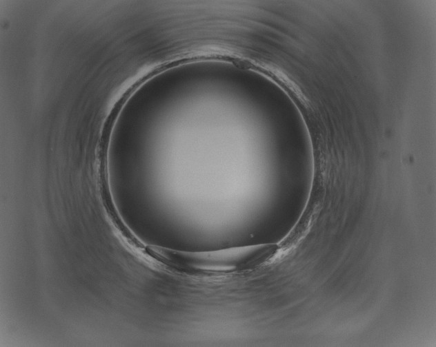 X0000073861134200608170936