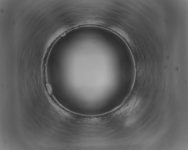 X0000073861135200608170936