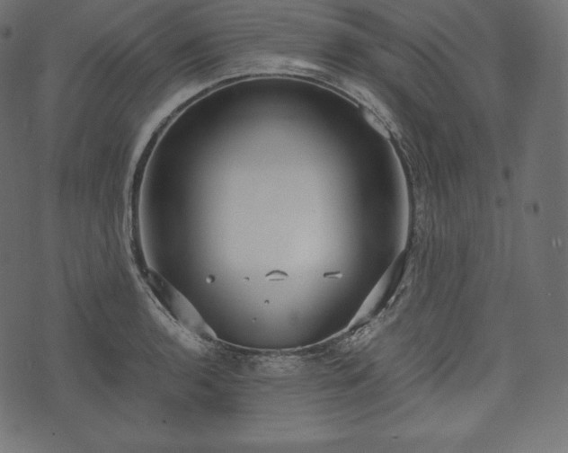 X0000073861136200608170936