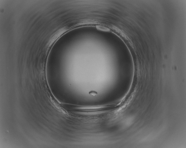 X0000073861137200608170936