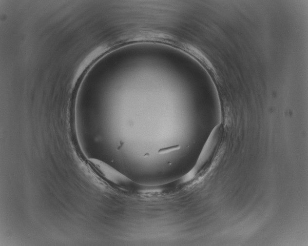 X0000073861138200608170936