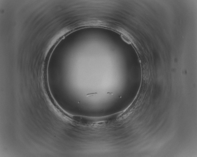 X0000073861139200608170936