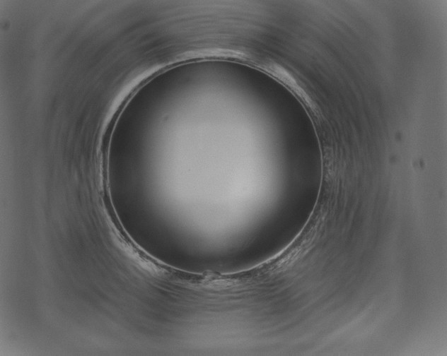 X0000073861140200608170936