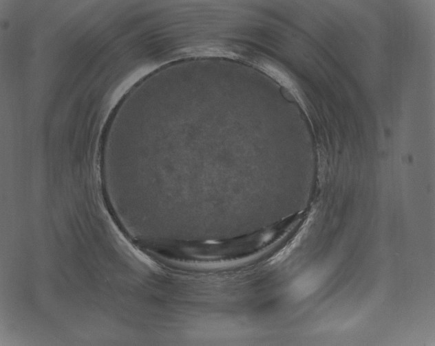 X0000073861141200608170936