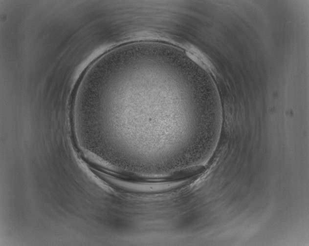 X0000073861142200608170936