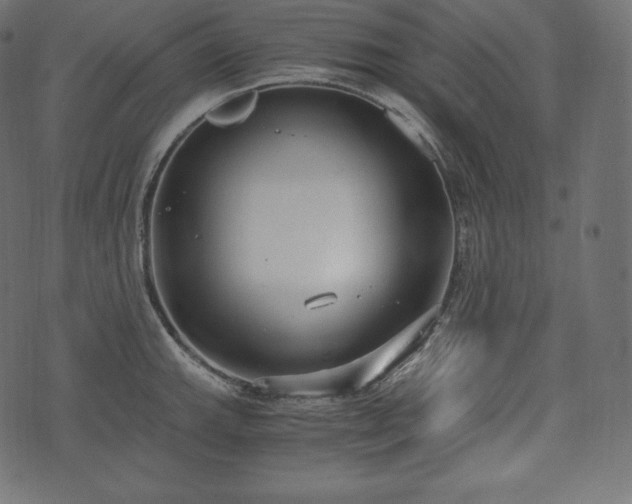 X0000073861143200608170936