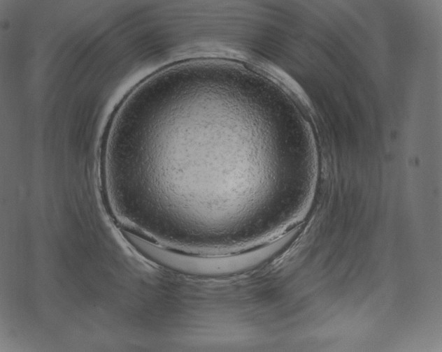 X0000073861144200608170936