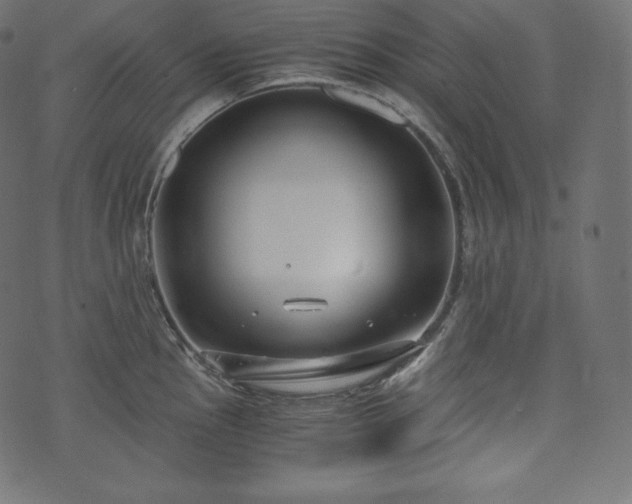 X0000073861145200608170936