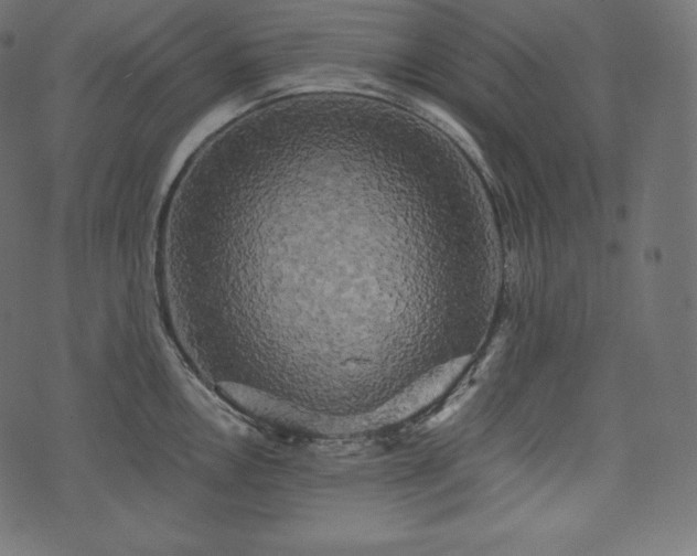 X0000073861146200608170936