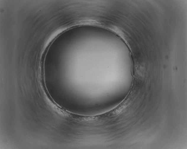 X0000073861147200608170936