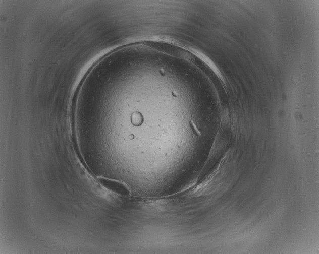 X0000073861148200608170936