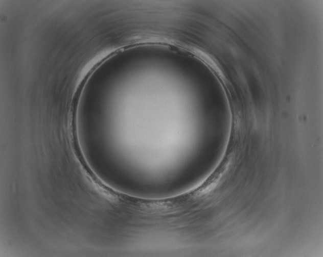 X0000073861149200608170936