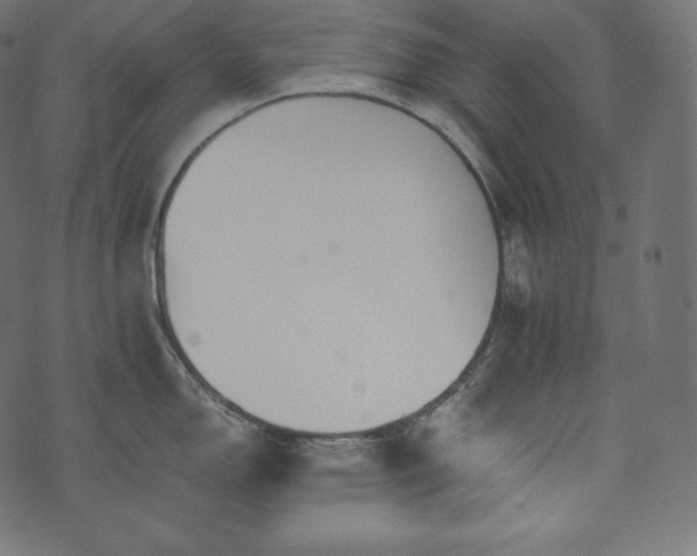 X0000073861150200608170936