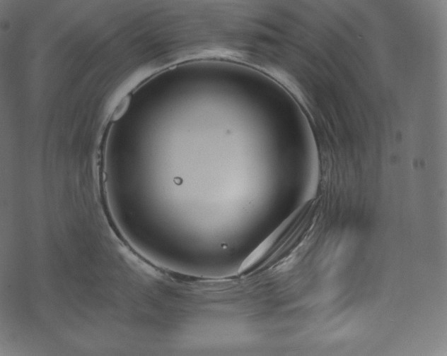 X0000073861151200608170936