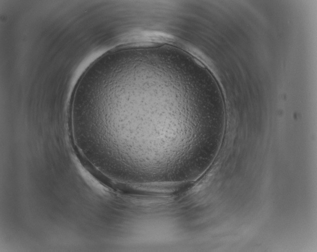 X0000073861152200608170936