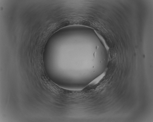 X0000073861153200608170935