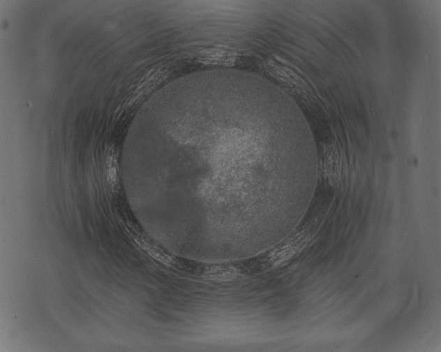 X0000073861154200608170935