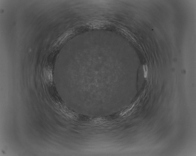 X0000073861155200608170935