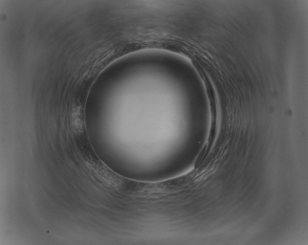 X0000073861156200608170935