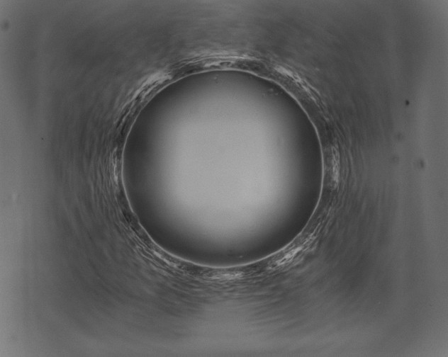 X0000073861157200608170935