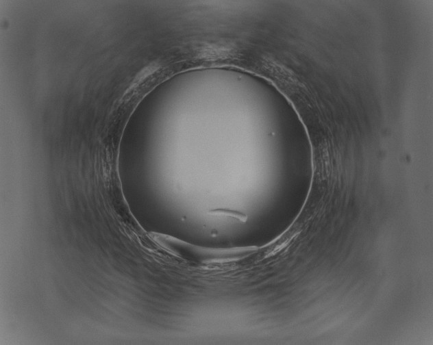 X0000073861158200608170935