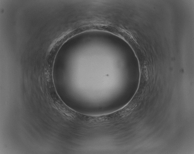 X0000073861159200608170935