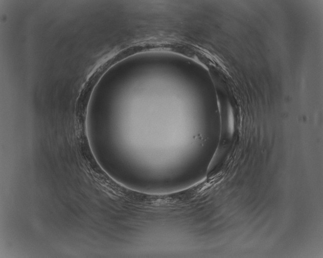 X0000073861160200608170935