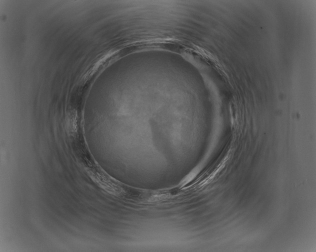 X0000073861161200608170935