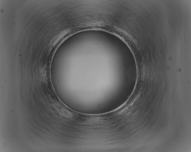 X0000073861162200608170935