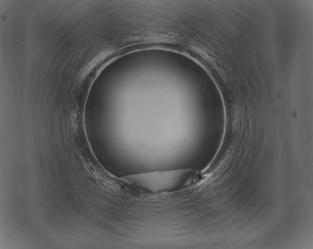 X0000073861163200608170935