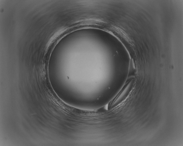 X0000073861164200608170935