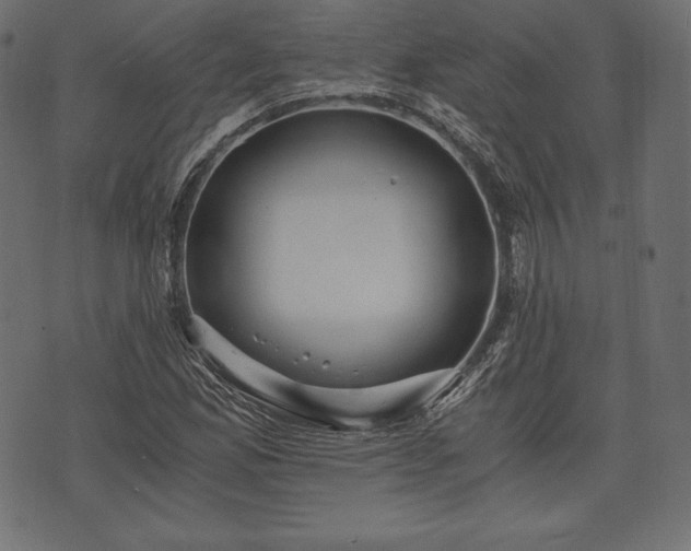 X0000073861165200608170935