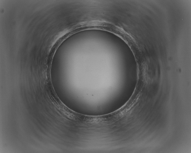 X0000073861166200608170935