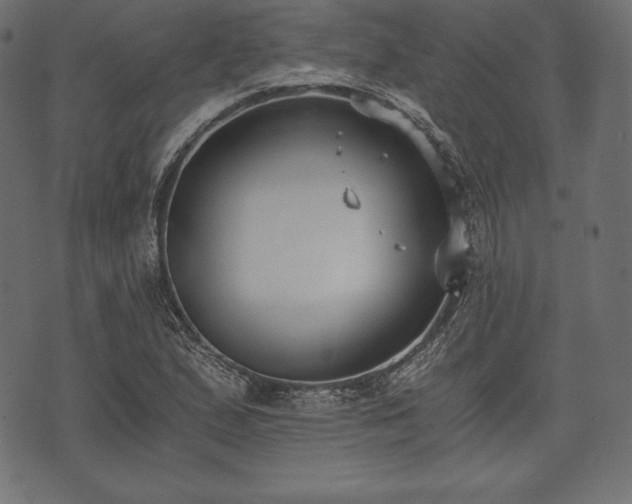 X0000073861167200608170935