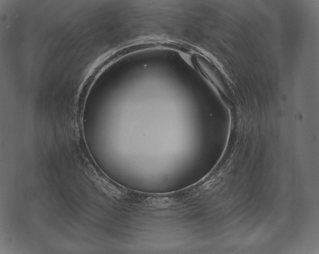 X0000073861168200608170935