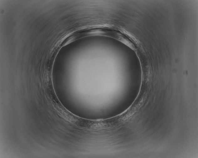 X0000073861169200608170935