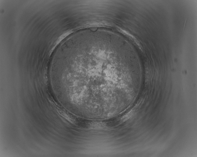 X0000073861170200608170935